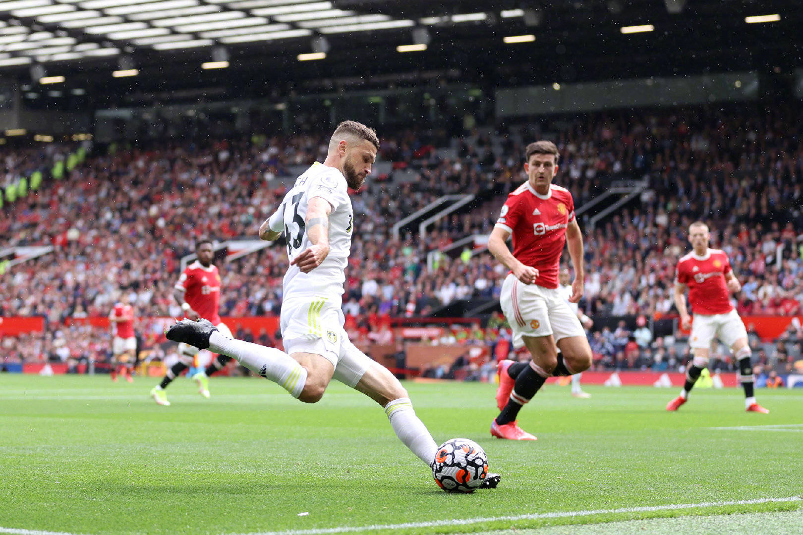 种体育运动 种体育运动